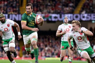 Seven-try Springboks pile pressure on Gatland as Wales end 2024 winless