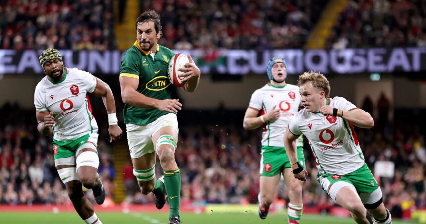 Seven-try Springboks pile pressure on Gatland as Wales end 2024 winless
