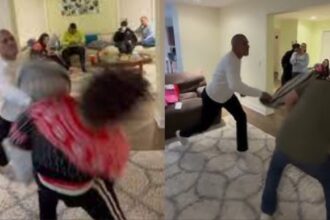 Alex Pereira Celebrates The Holidays By Knocking Out His Sons