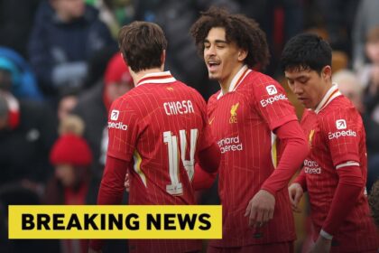 Federico Chiesa celebrates with his Liverpool teammates