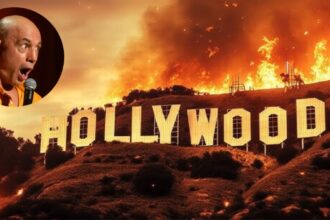 Joe Rogan Points Finger at Homeless for L.A. Wildfires: 'They're Looting People's Houses'