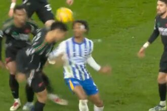 Arsenal manager Mikel Arteta baffled by penalty given to Brighton (Video)