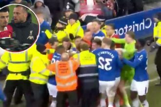 Liverpool and Everton players fighting