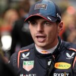 Verstappen calls for common sense over swearing bans