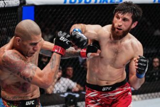 Chael Sonnen thinks Alex Pereira should not rematch Magomed Ankalaev: ‘It really was not overly competitive’