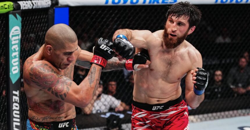 Chael Sonnen thinks Alex Pereira should not rematch Magomed Ankalaev: ‘It really was not overly competitive’
