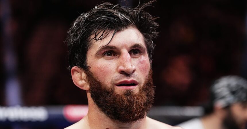 Magomed Ankalaev open to immediate Alex Pereira rematch, takes shot at Jiri Prochazka