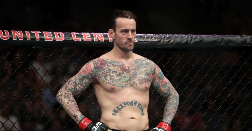 CM Punk responds to Seth Rollins calling him out for UFC fight: ‘I’m going to punch this motherf*cker in the face’