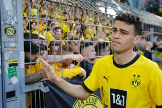 Rangers have hit gold on Ibrox "animal" who's worth even more than Reyna