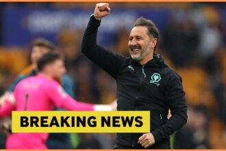 “He will be a surprise in England”: Vitor Pereira reveals plan for “special” attacker next season