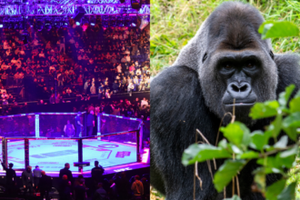 UFC Legend Breaks Down the Viral ‘100 Men vs. 1 Gorilla’ Debate "Speaks to how little people know."