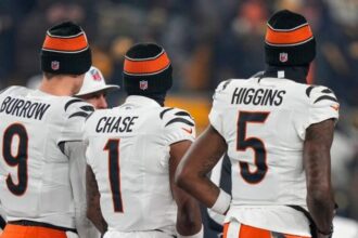 Bengals