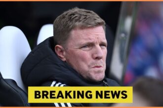 Eddie Howe in the Newcastle dugout