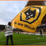 Wolves flag