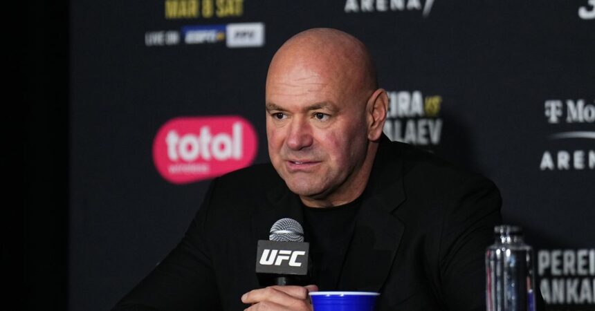 Dana White reacts to Jake Paul, Holly Holm fights going head-to-head with UFC 317