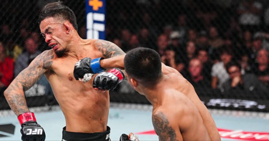 Joshua Van Stuns Brandon Royval in Epic Fight of the Year Contender - UFC 317 Highlights