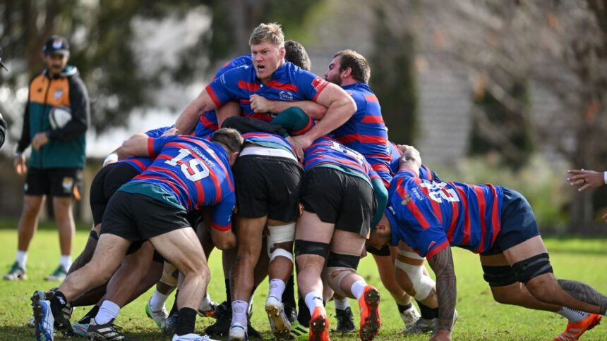 More than pride on the line in AUNZ XV-British Irish Lions clash