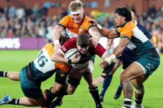 'The best in the world': Lions earn high praise but ex-All Blacks coach hasn't ruled Wallabies out