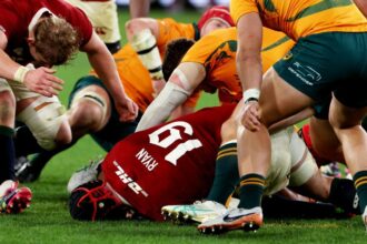 This is World Rugby's bed, the Wallabies just have to lie in it