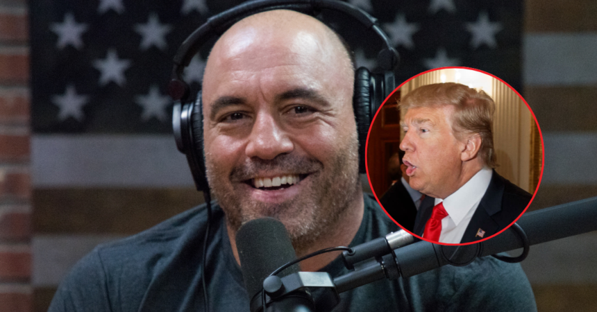 Is Joe Rogan Still the ‘Everyman’ - Or A Tool For the Right Experts Break Down His Impact