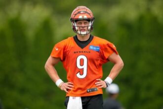 Joe Burrow Bengals pic