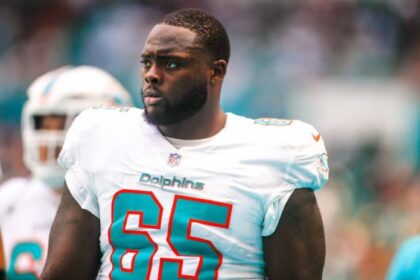 Robert Jones Dolphins pic