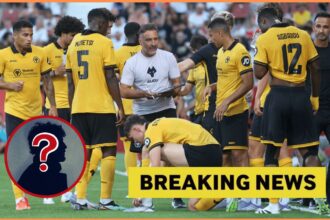 Wolves offered chance to sign £15m Championship star