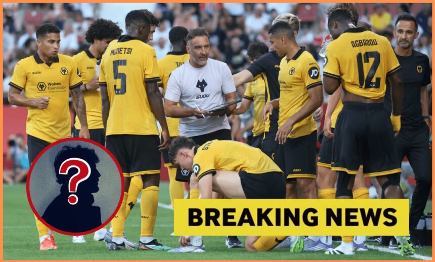 Wolves offered chance to sign £15m Championship star