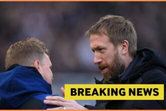 Newcastle could now sign West Ham record-breaker