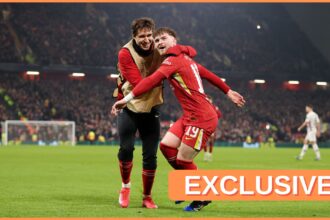 Federico Chiesa celebrates with Harvey Elliott