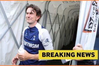 Serie A club offered chance to sign Tottenham forward
