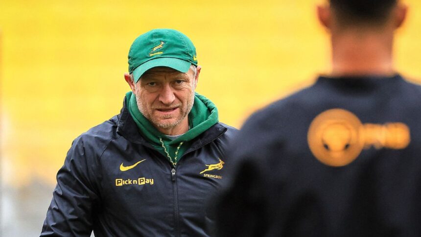 Springboks can't afford 'patchy' performance against Argentina - Tony Brown