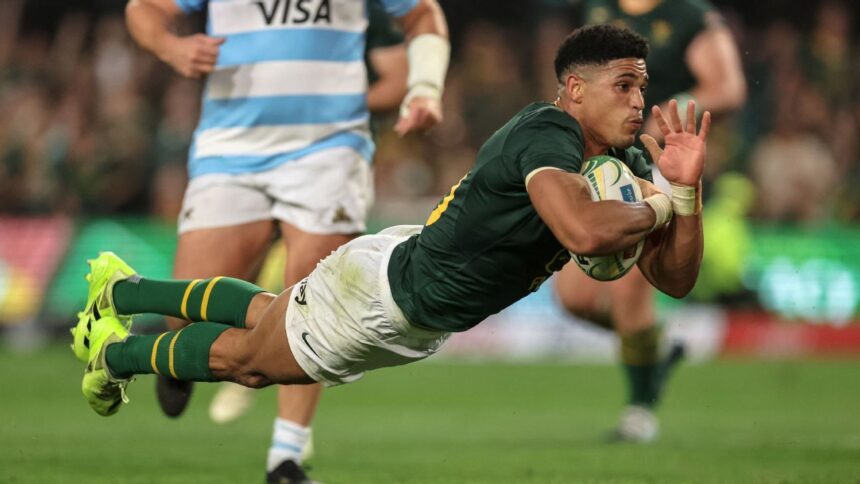 Rassie Erasmus says 'a lot of people' helped Sacha Feinberg-Mngomezulu reach Springboks record