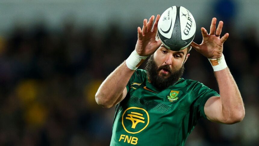 Lood de Jager called to Springboks as replacement for Franco Mostert for Argentina Test