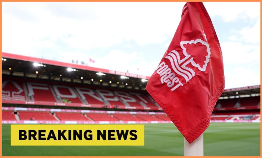 Former Premier League manager ready to take the Nottingham Forest job