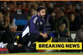 Pundit believes Man United have taken a huge risk with summer signing