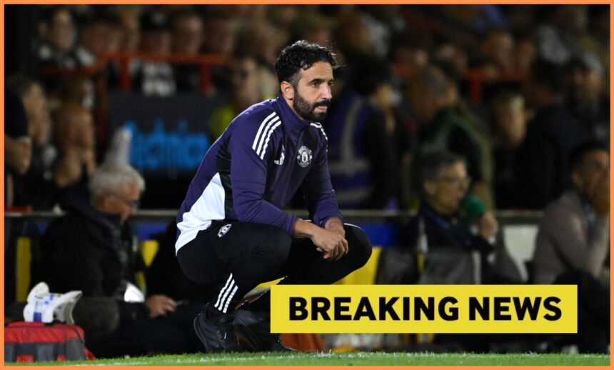 Pundit believes Man United have taken a huge risk with summer signing