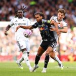 Michael Dawson slams Leeds forward after Fulham game