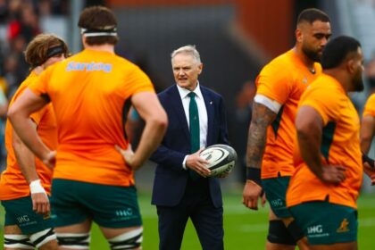 Wallabies coach Joe Schmidt weighs up R360 rebel league