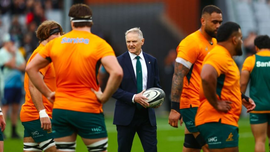 Wallabies coach Joe Schmidt weighs up R360 rebel league