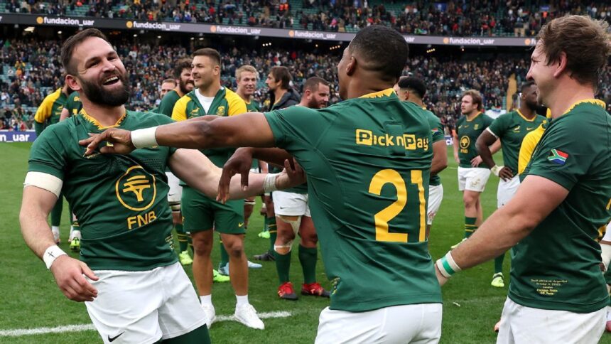 Springboks have 'work to do' ahead of November tour to Europe and UK - Cobus Reinach