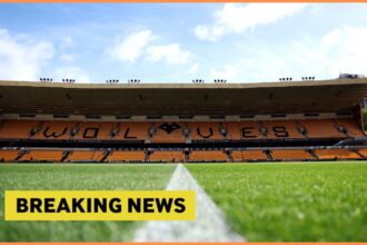 Wolves handed Premier League boost for next five games after winless start