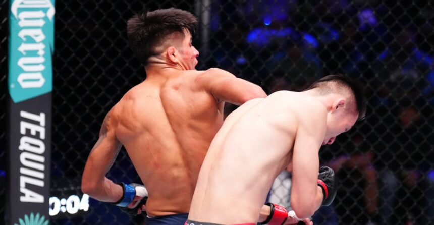 DWCS Season 9, Week 10 Results: Insane spinning back elbow knockout highlights final week
