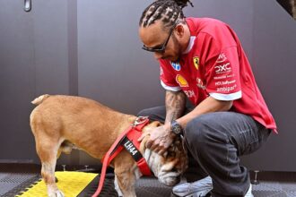 Hamilton moved by ‘overwhelming’ support after death of dog Roscoe