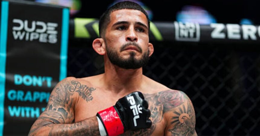 Magomed Magomedov vs. Sergio Pettis - PFL Dubai Highlights