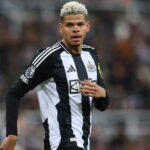 Eintracht want to sign William Osula from Newcastle